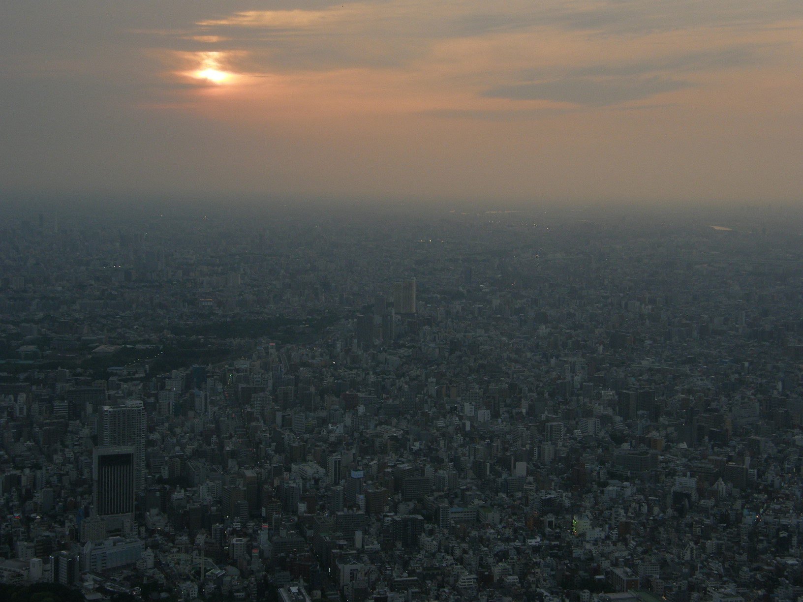 P5261300.jpg