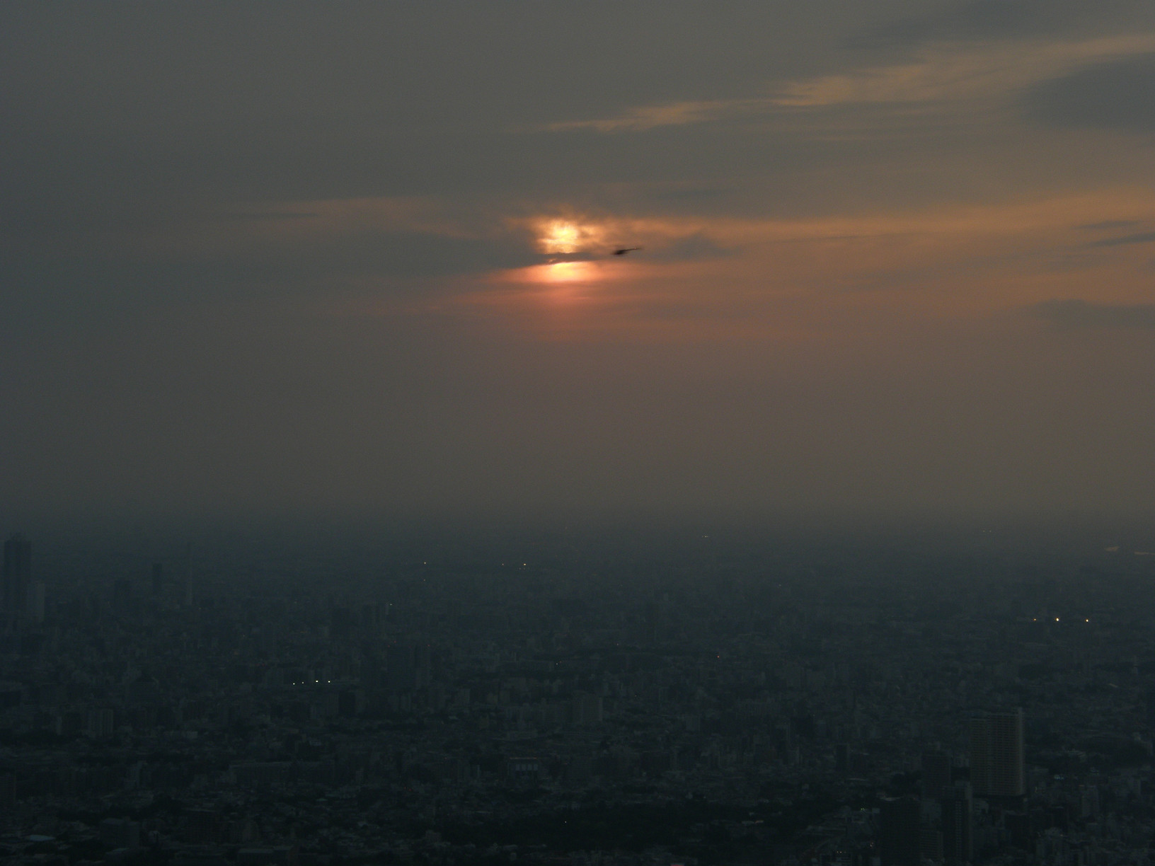 P5261302.jpg
