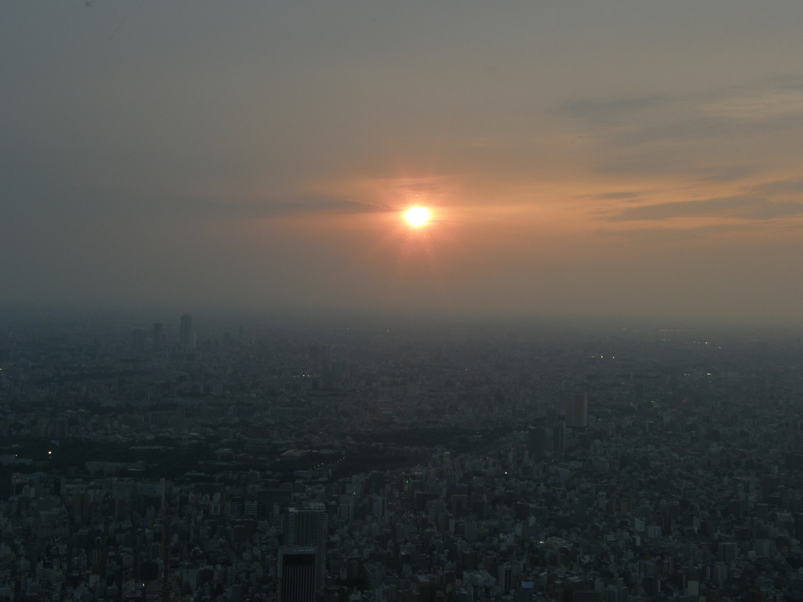 P5261311.jpg