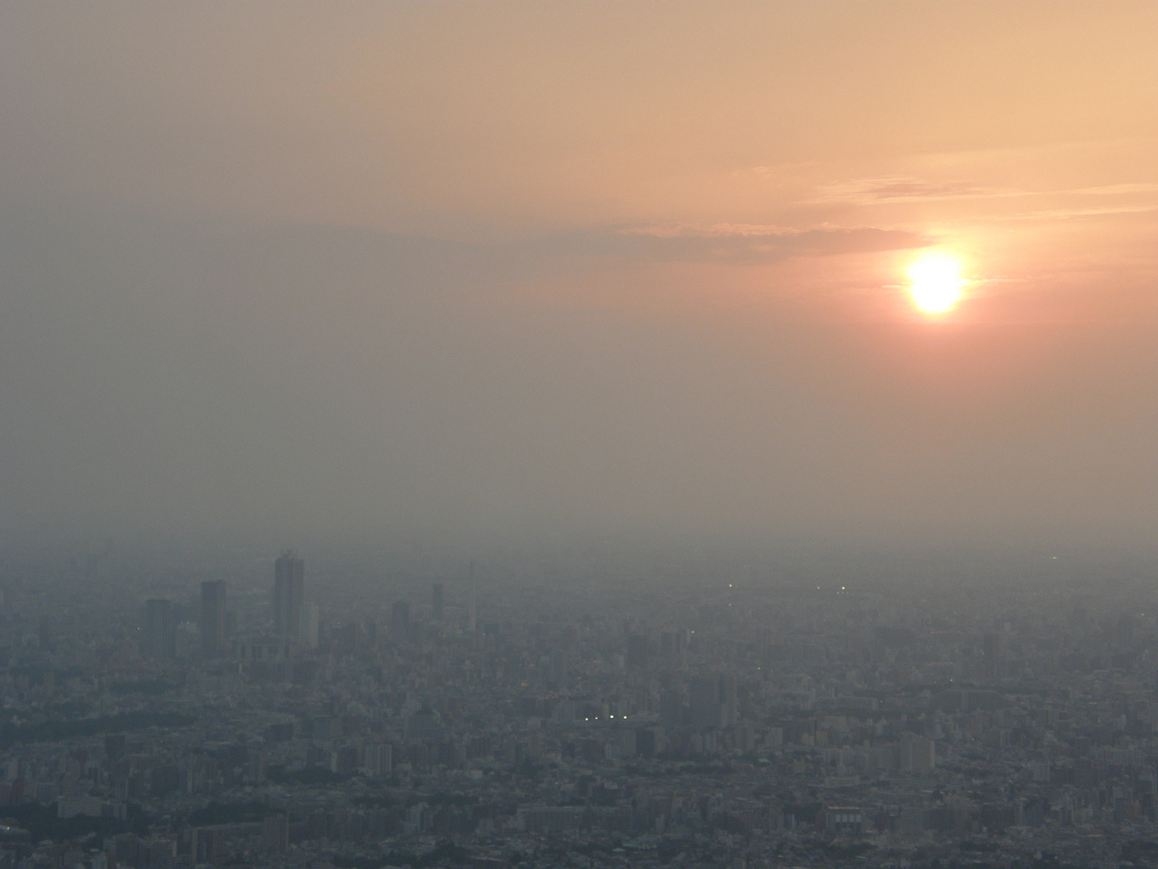 P5261321.jpg