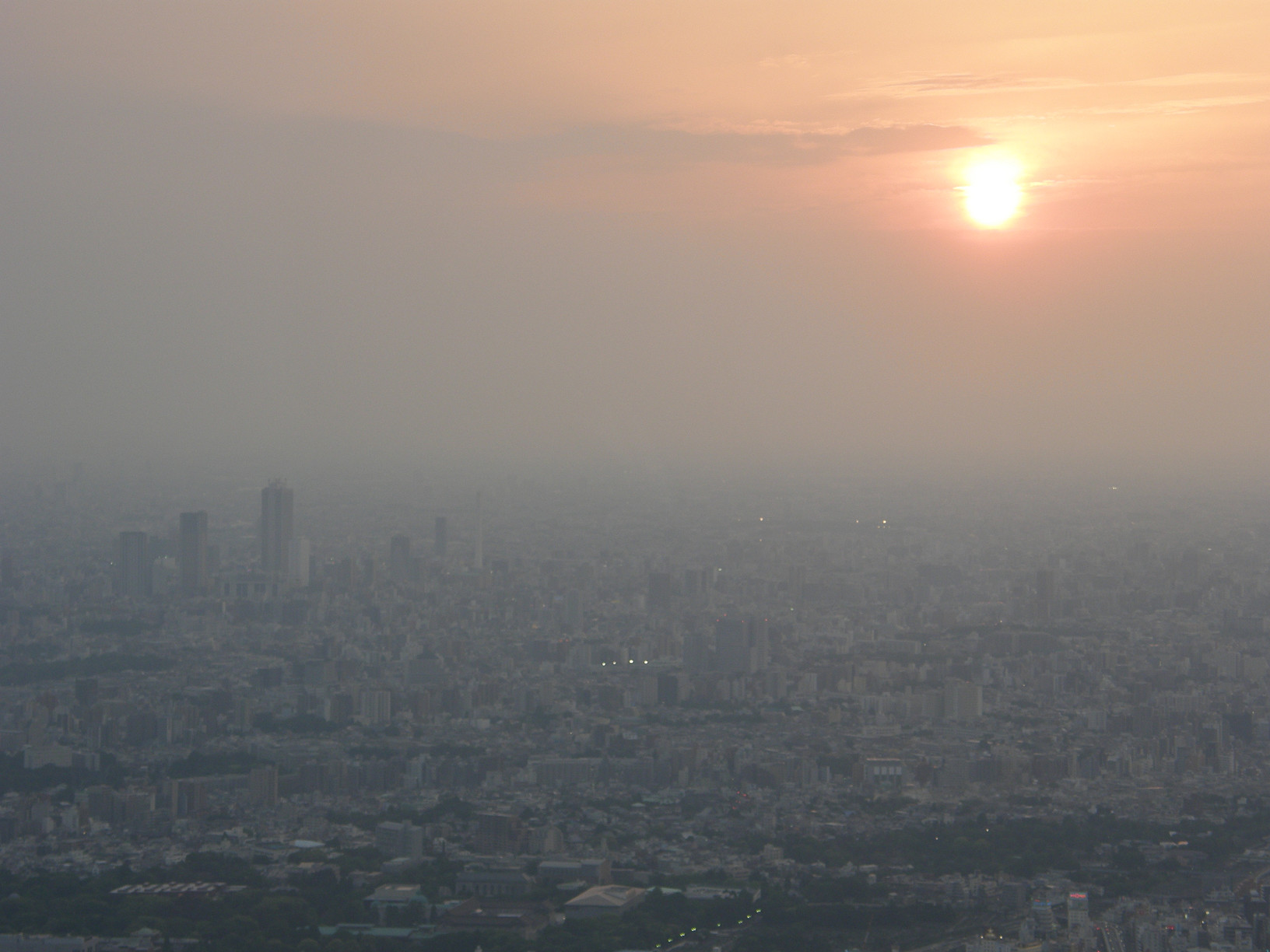 P5261322.jpg