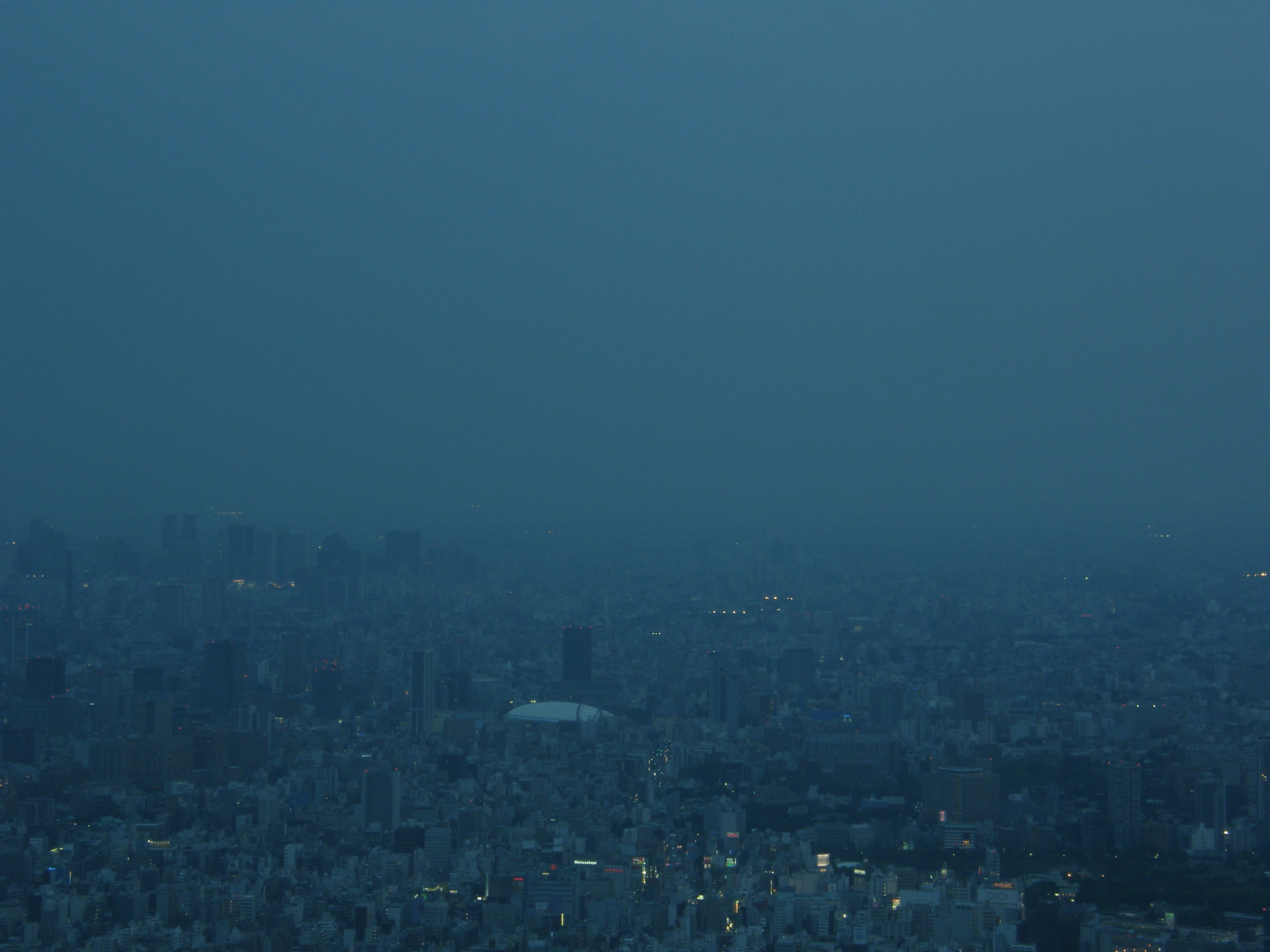 P5261334.jpg