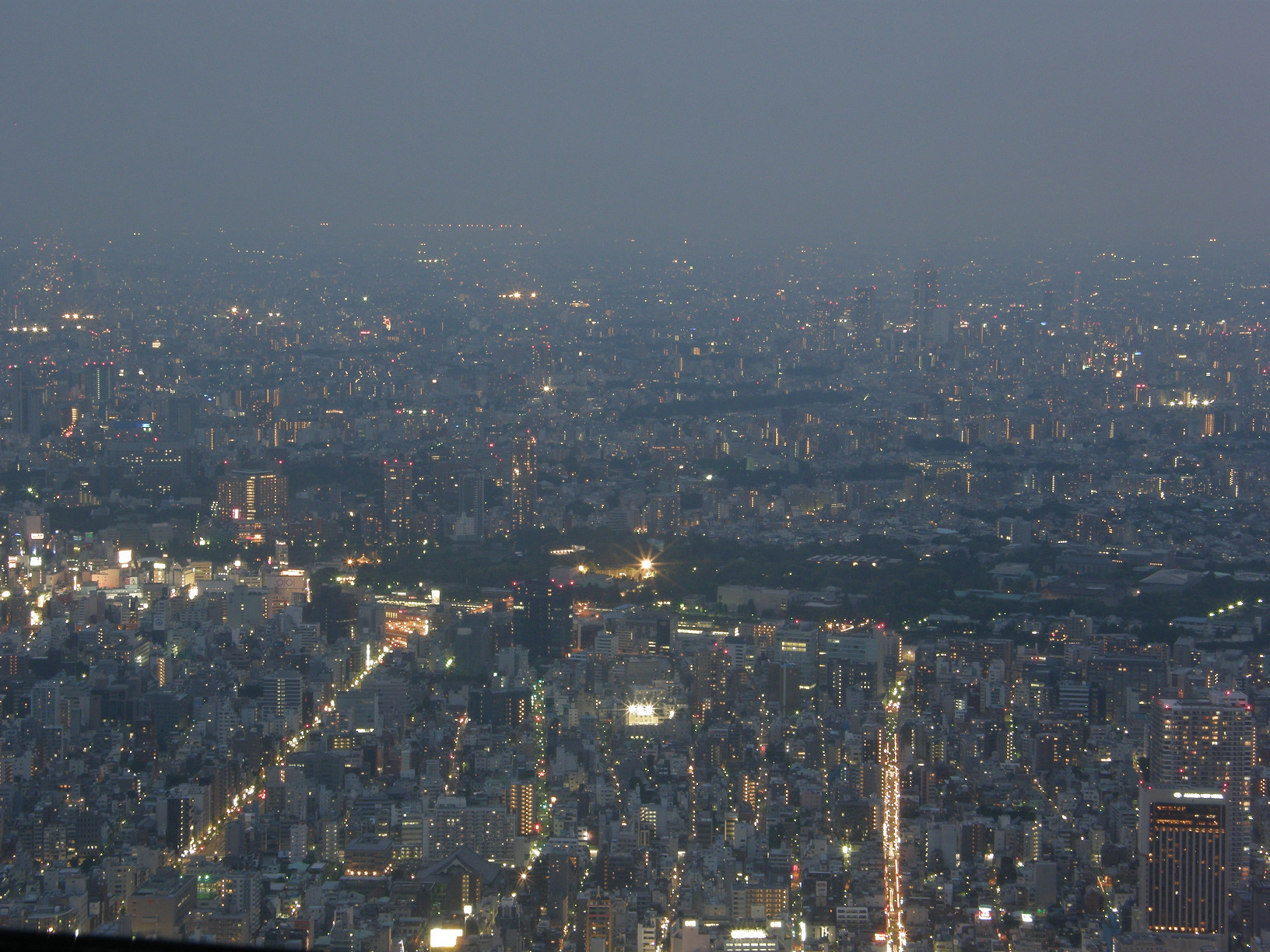 P5261340.jpg