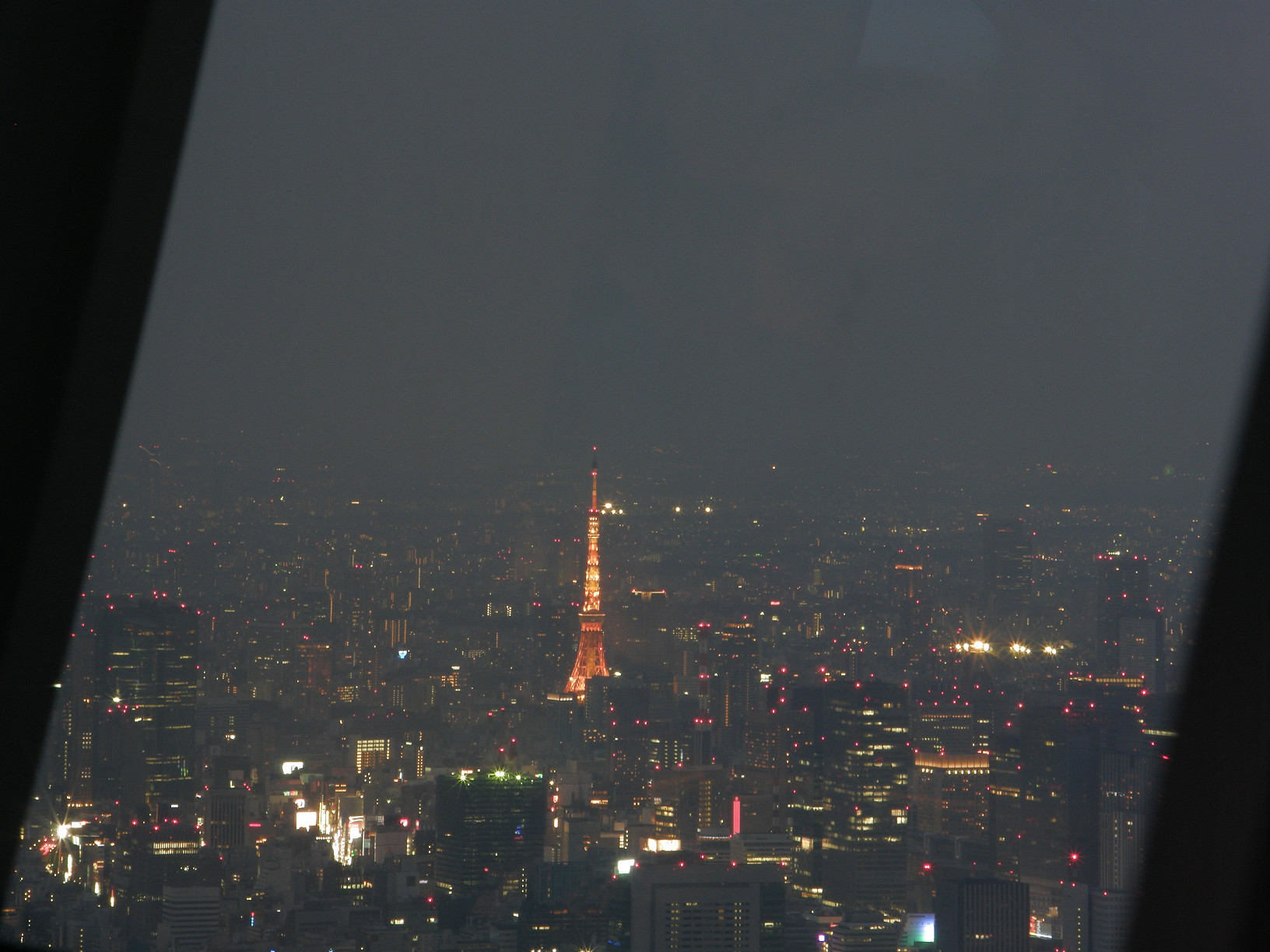 P5261341.jpg