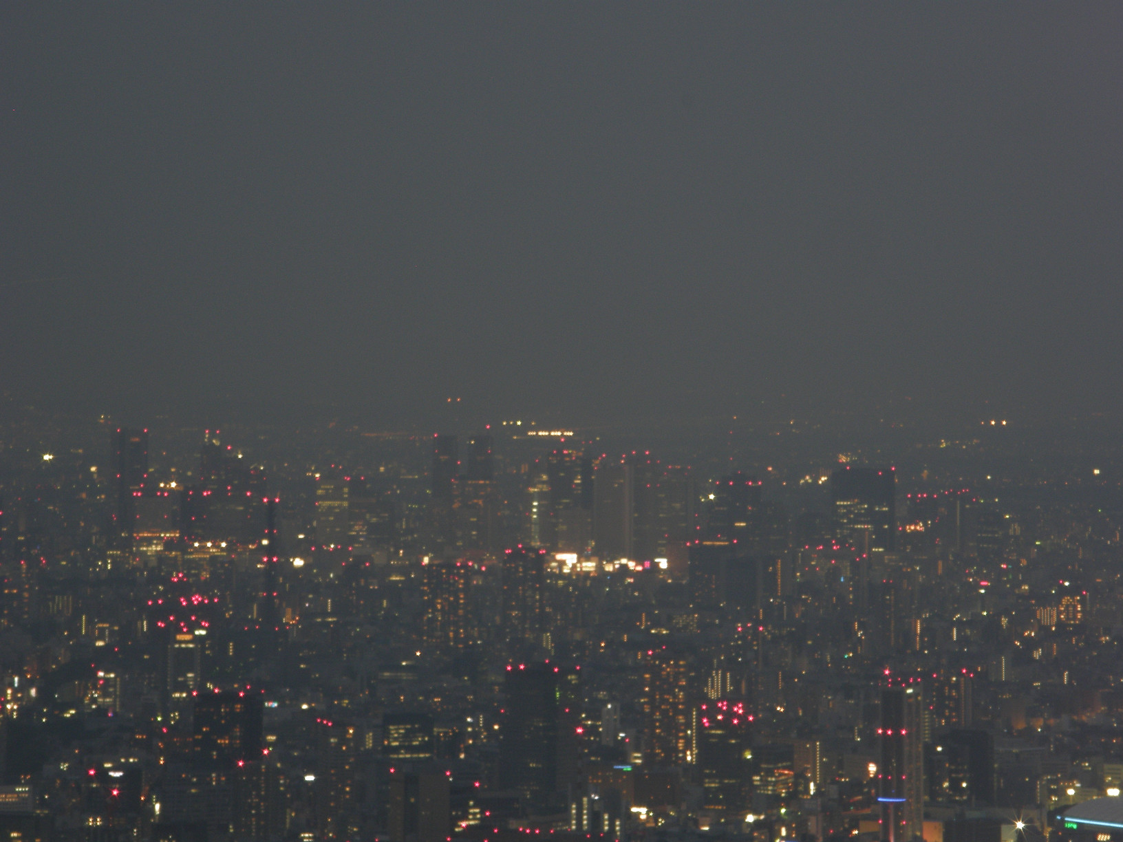 P5261342.jpg