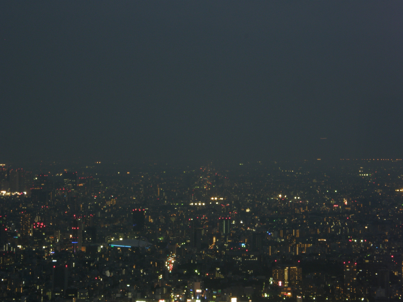 P5261344.jpg