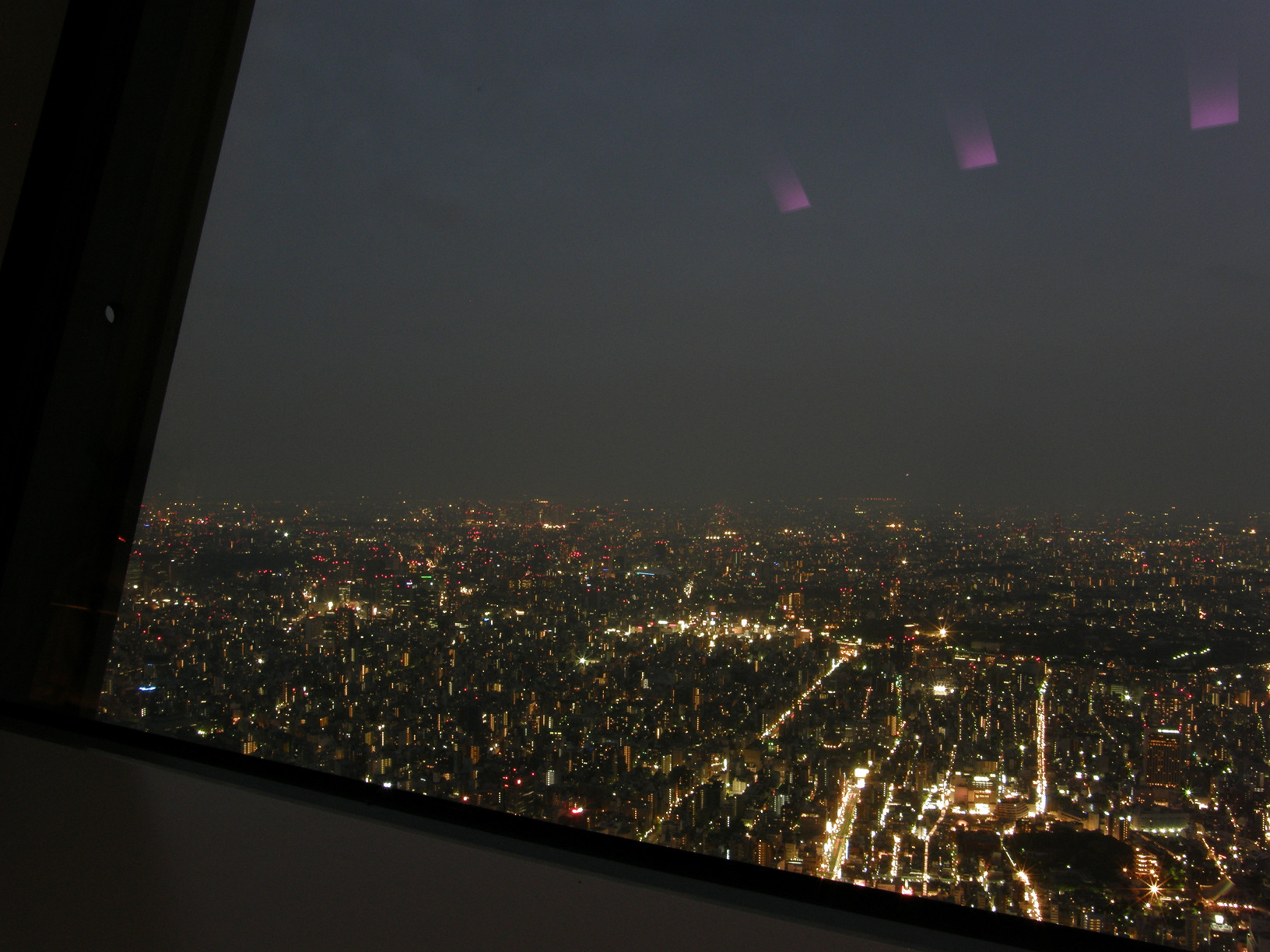 P5261347.jpg