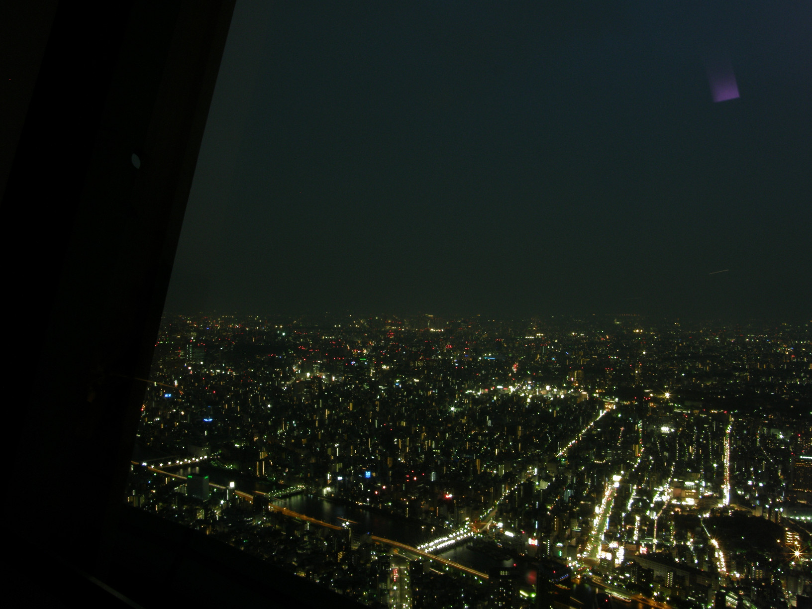 P5261352.jpg