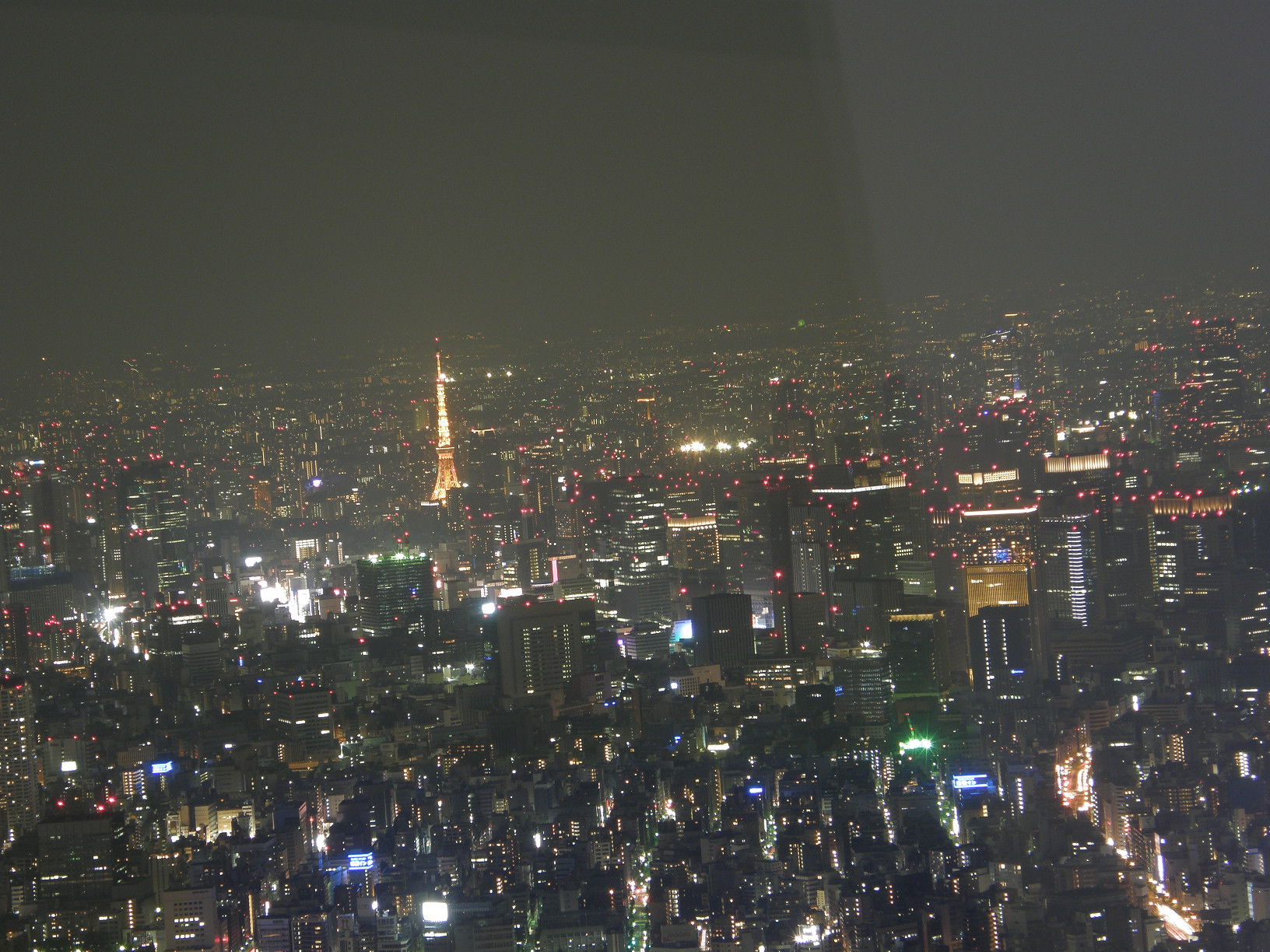 P5261359.jpg