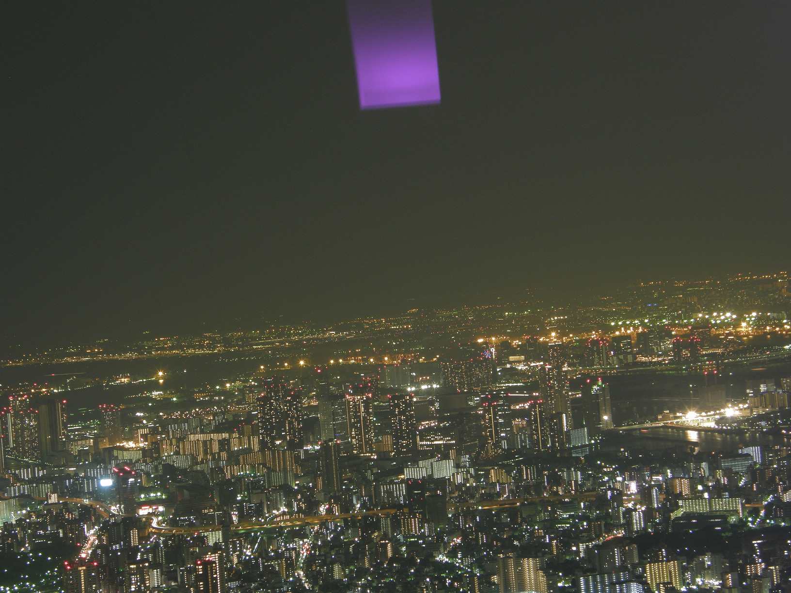 P5261360.jpg