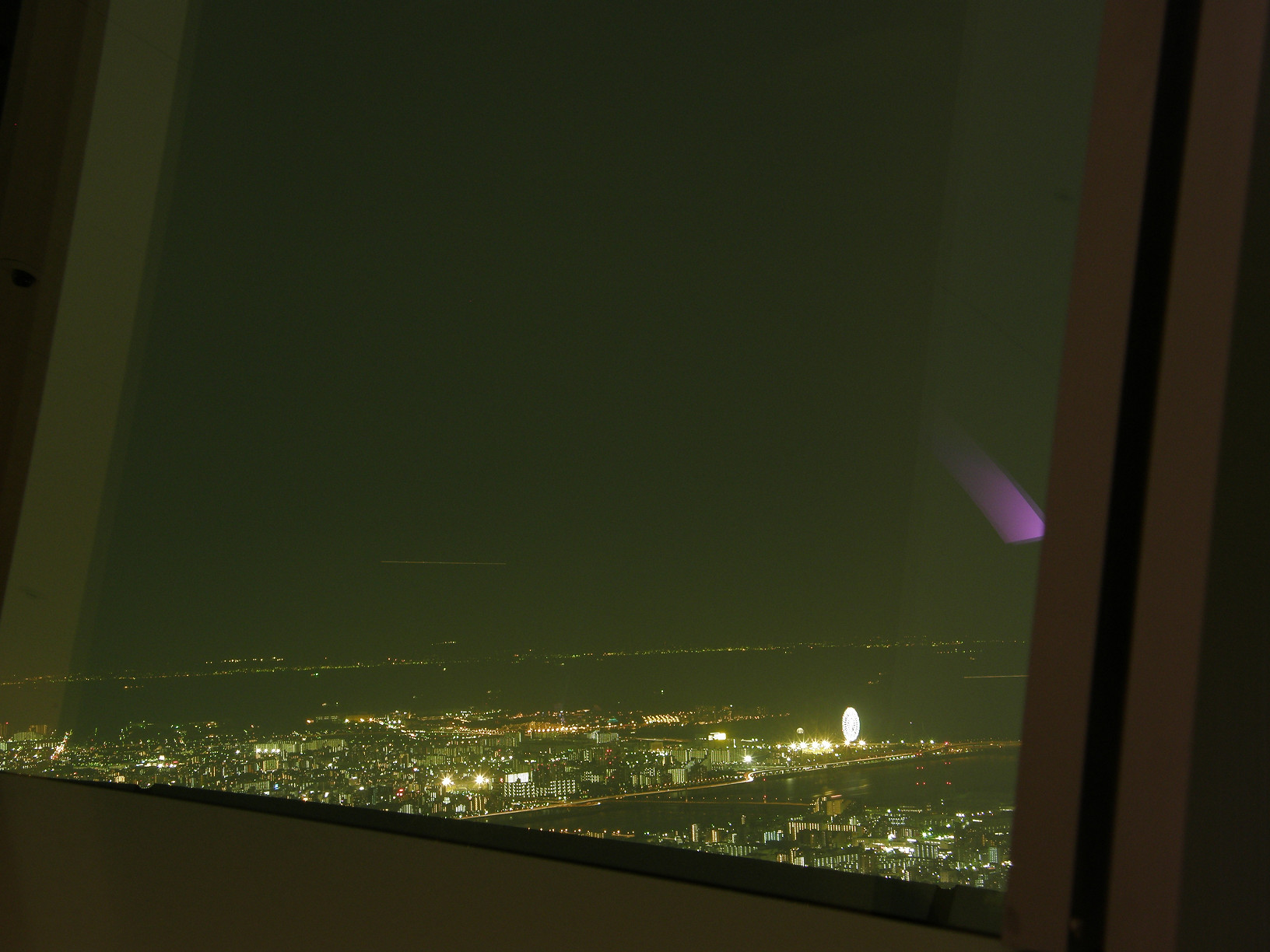 P5261361.jpg