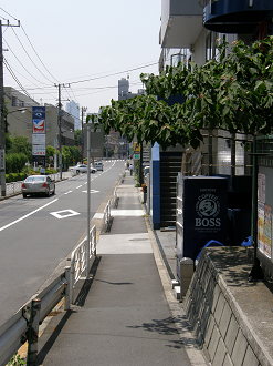 P6081499_thumb.png