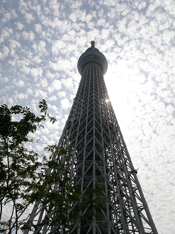 P6081514_thumb.png