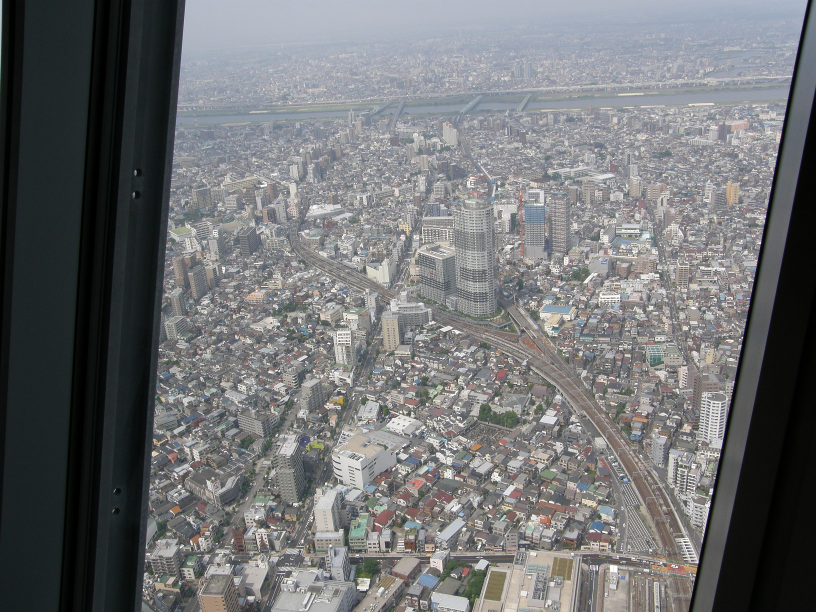 P6081550.jpg