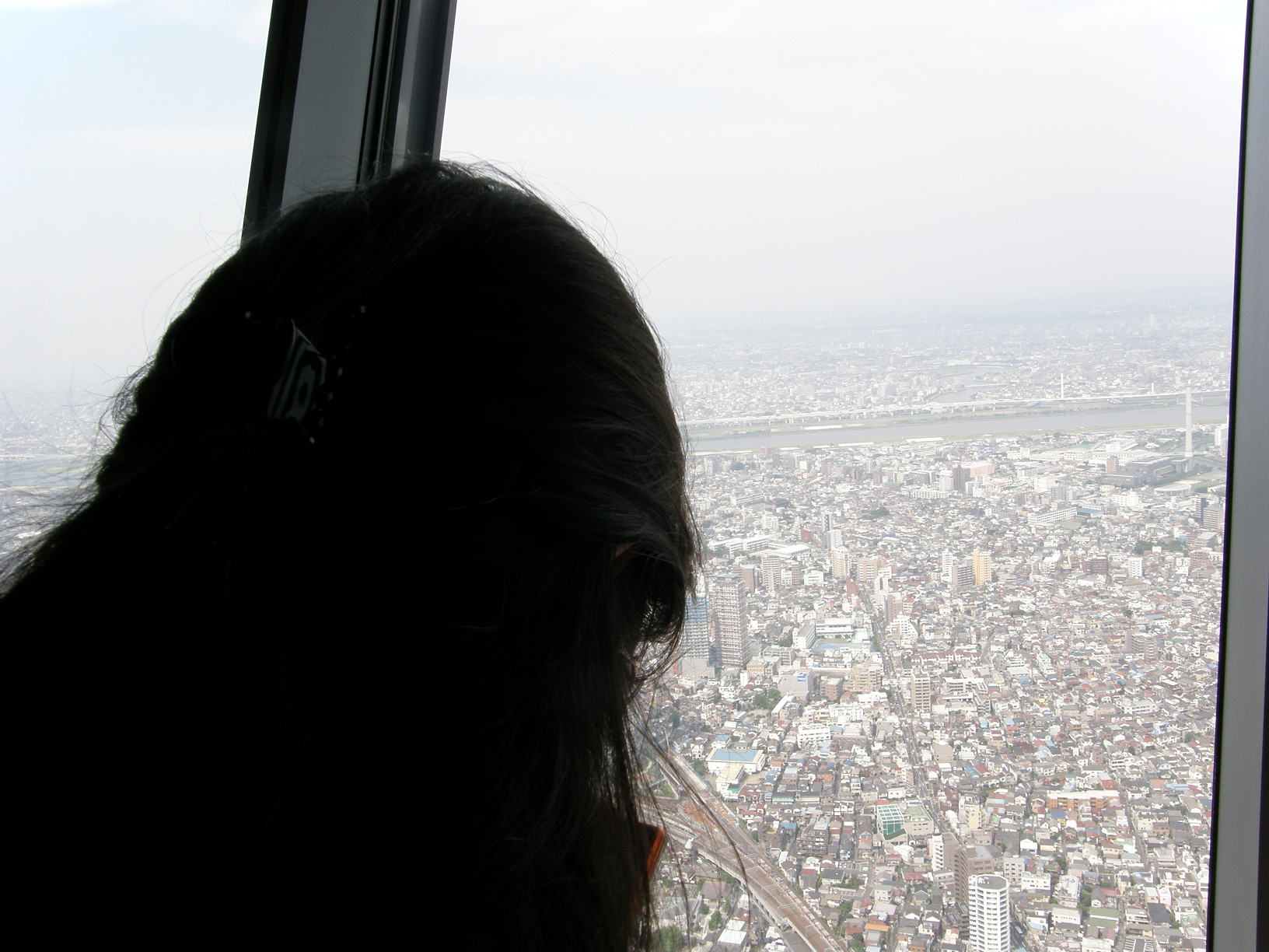 P6081551.jpg
