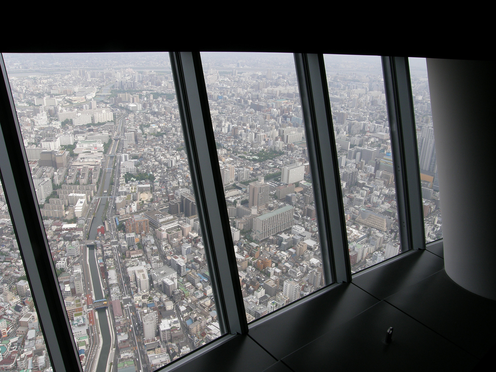 P6081555.jpg