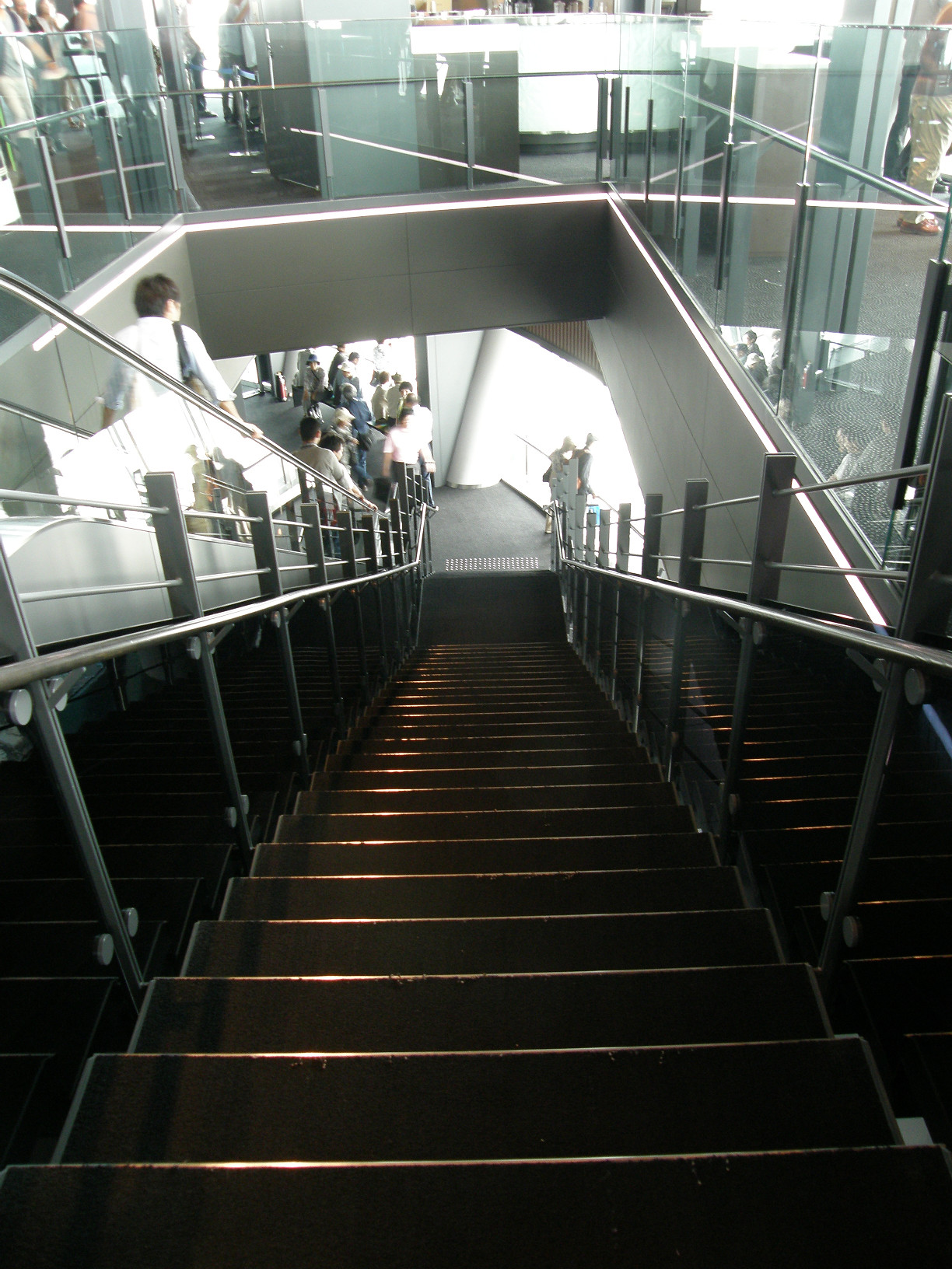 P6081559.jpg