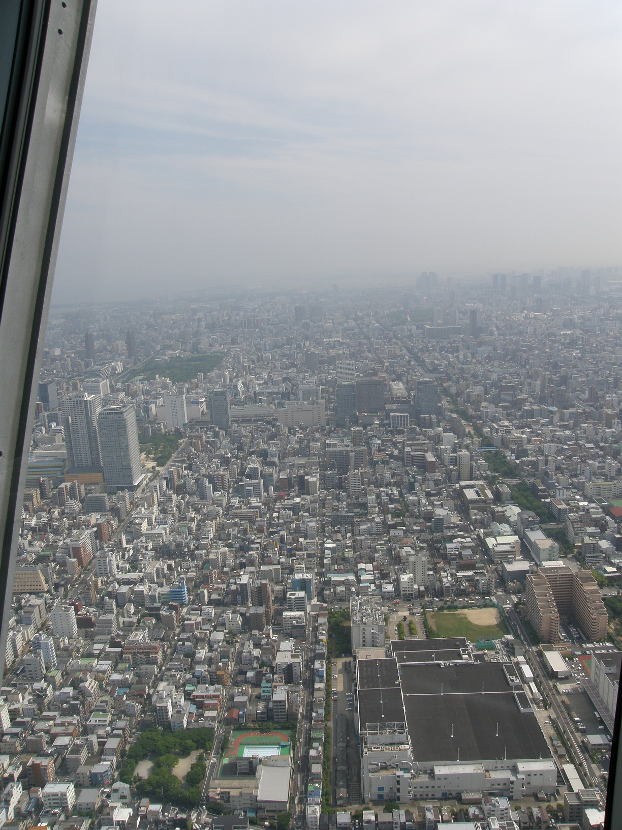 P6081565.jpg