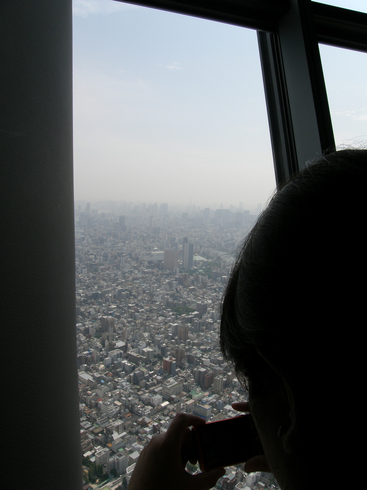 P6081569.jpg