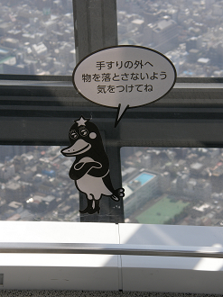 P6081598_thumb.png