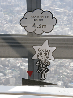 P6081603_thumb.png