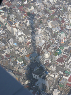 P6081613_thumb.png