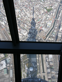 P6081630_thumb.png