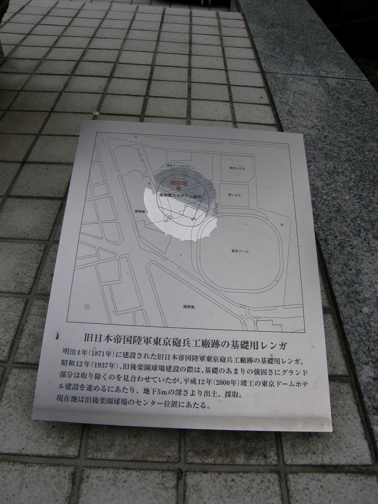 P6081729.jpg