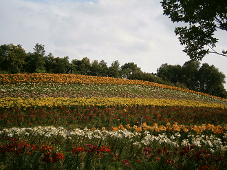 P6231301_thumb.png