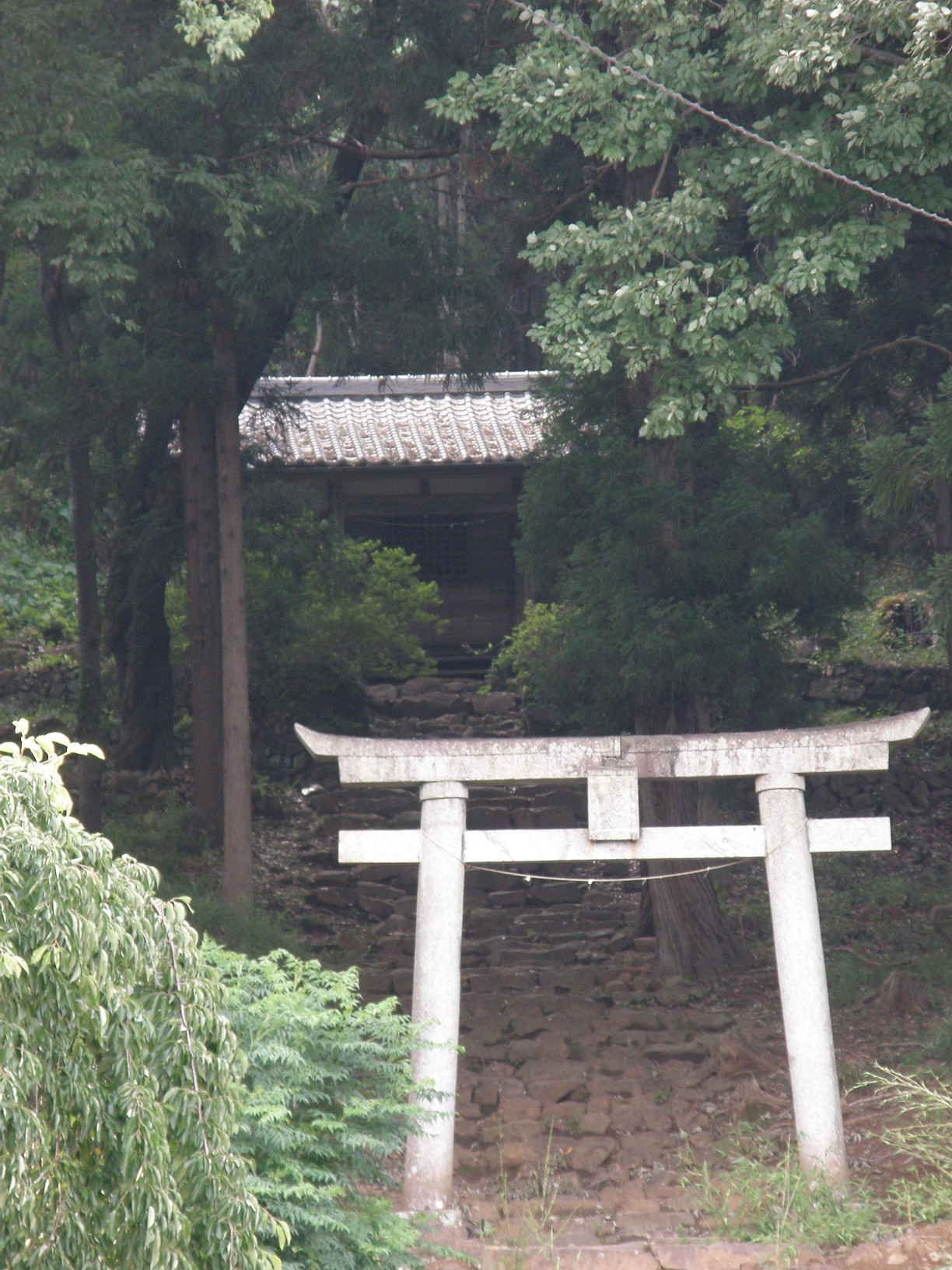 P6231930.jpg