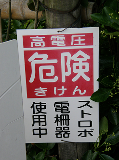 P6231932_thumb.png