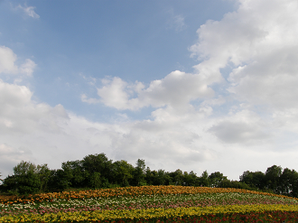 P6231946_thumb.png
