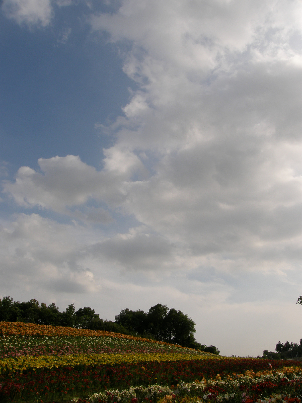 P6231949.jpg