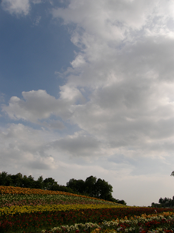 P6231949_thumb.png