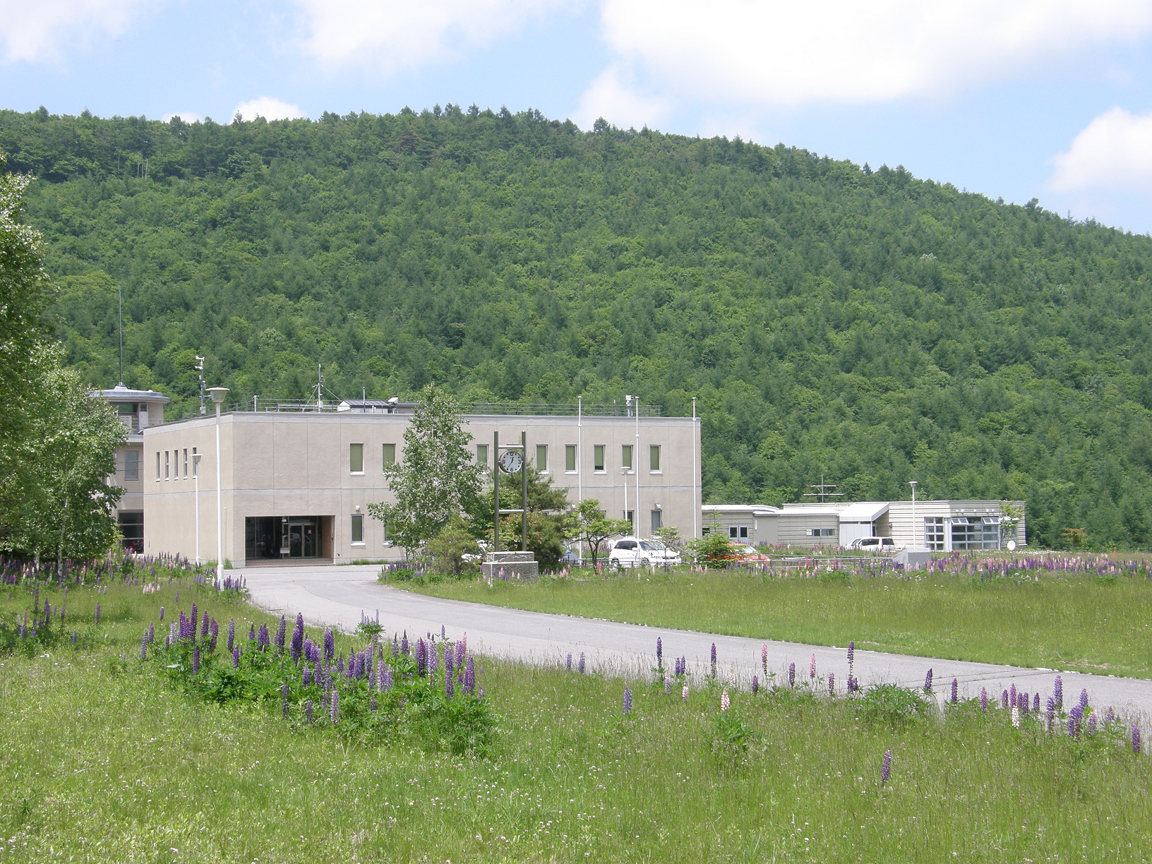 P6292000.jpg