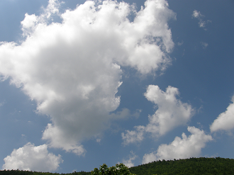 P6292099_thumb.png