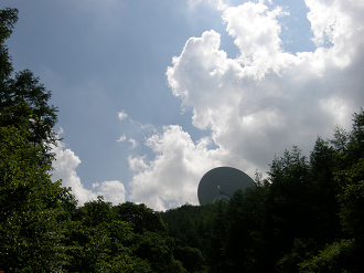 P6292155_thumb.png