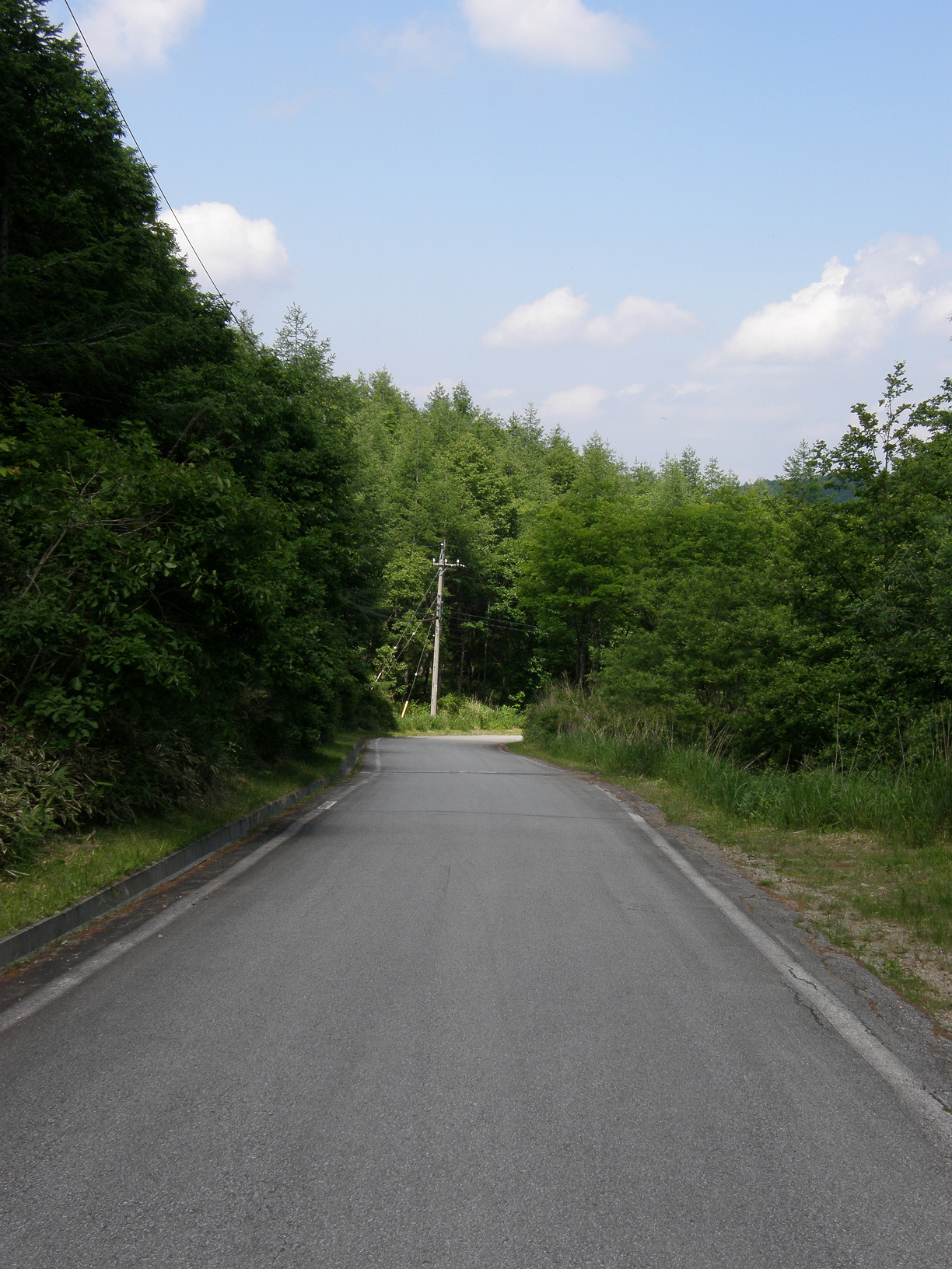P6292162.jpg
