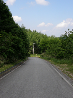 P6292162_thumb.png
