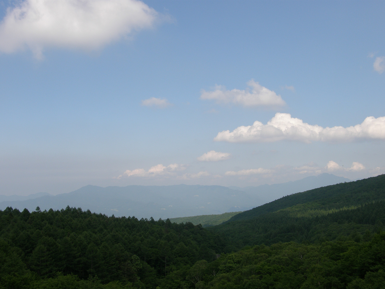 P6292191.jpg
