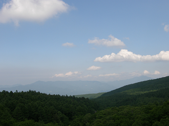 P6292191_thumb.png