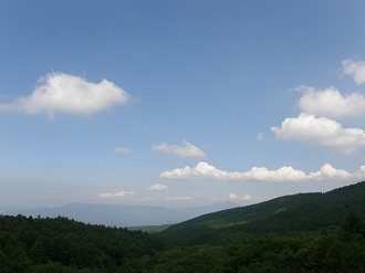 P6292192_thumb.png