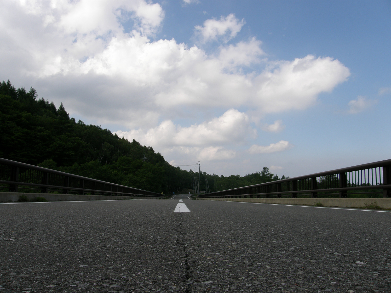 P6292208.jpg