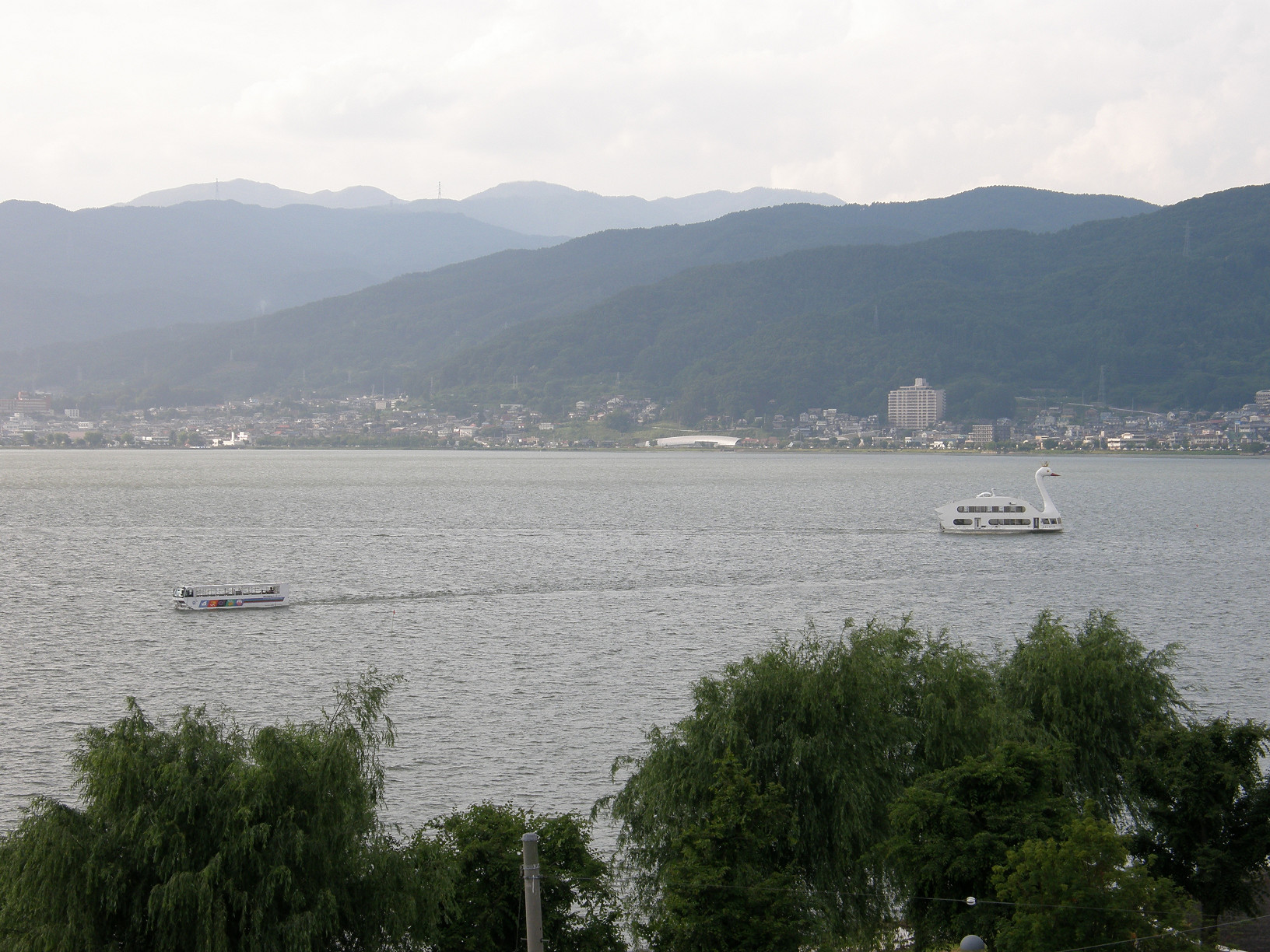 P6292237.jpg
