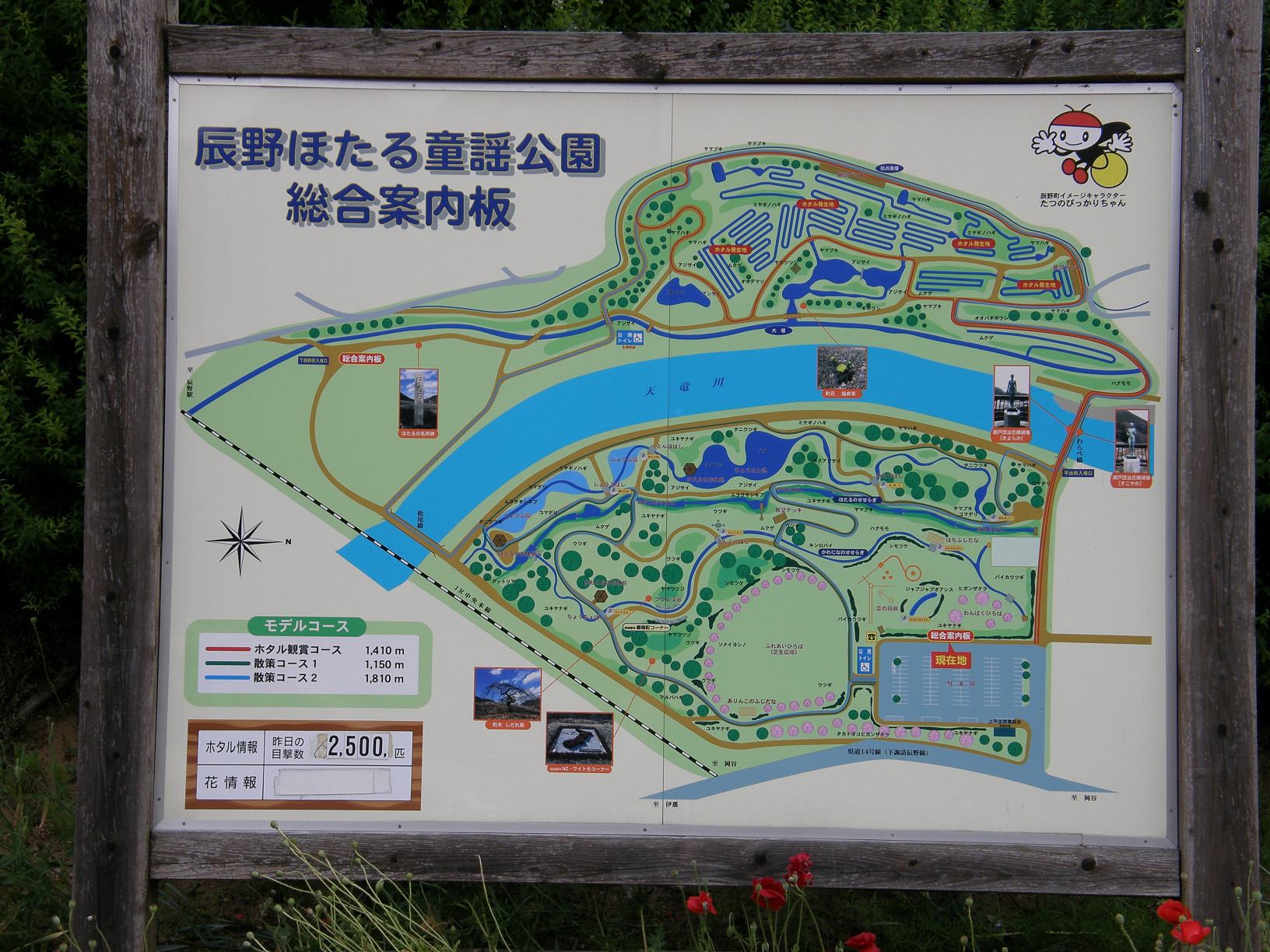 P6292245.jpg