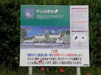 P6292246_thumb.png