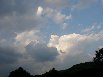 P6292287_thumb.png