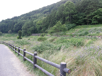 P6292296_thumb.png