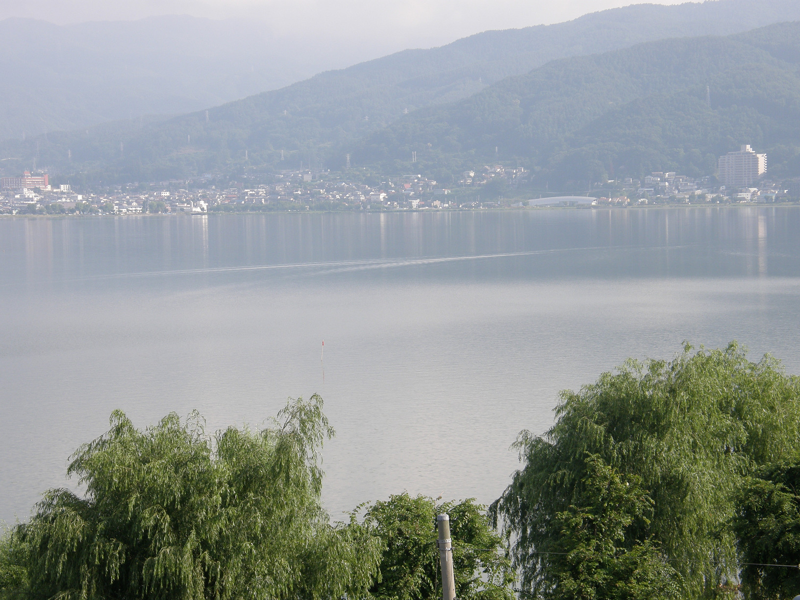 P6302372.jpg