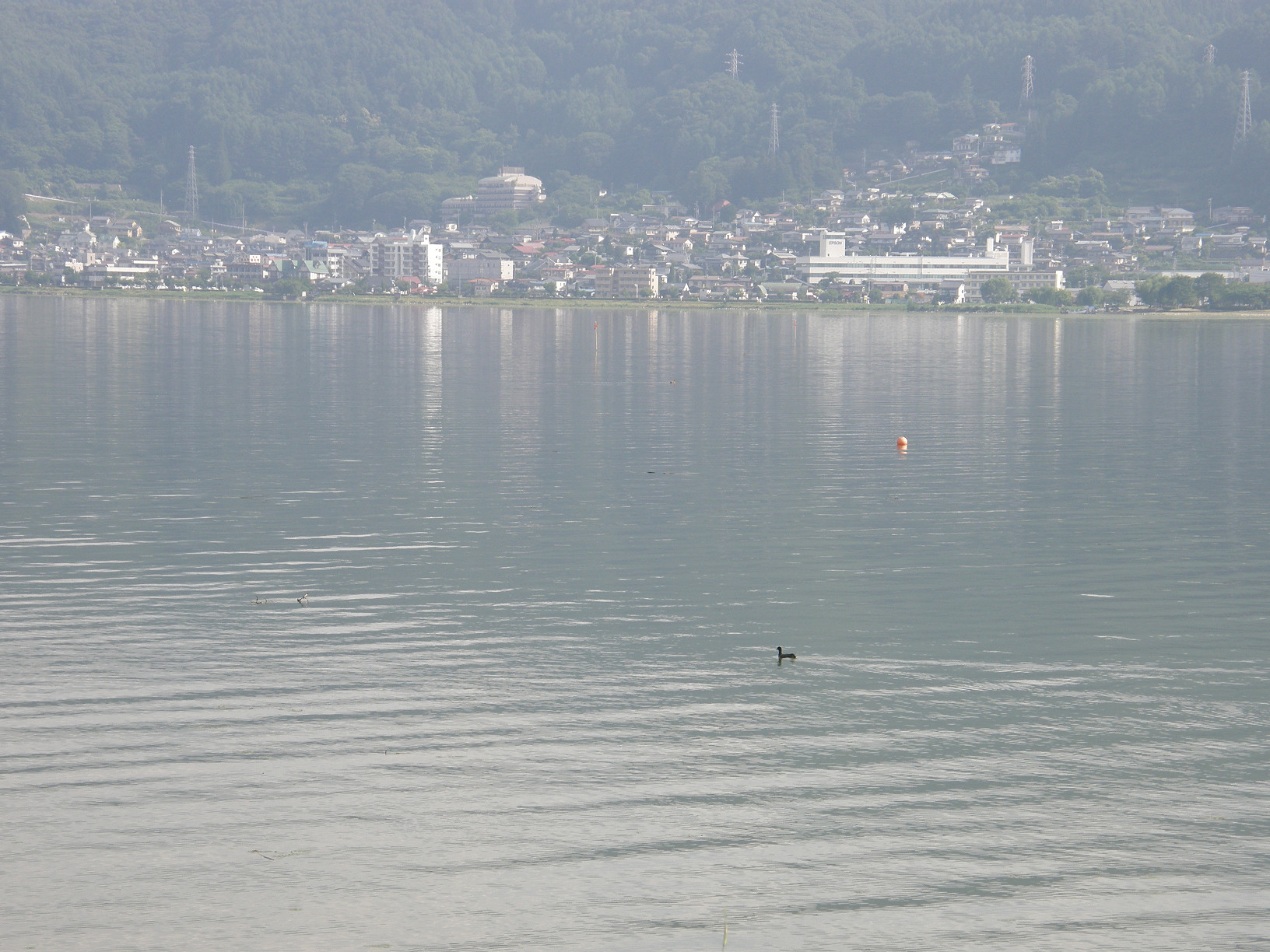 P6302391.jpg